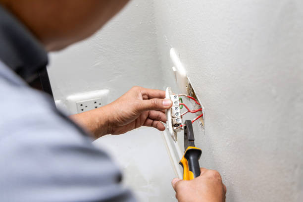 Best Affordable Electrician  in Tonka Bay, MN