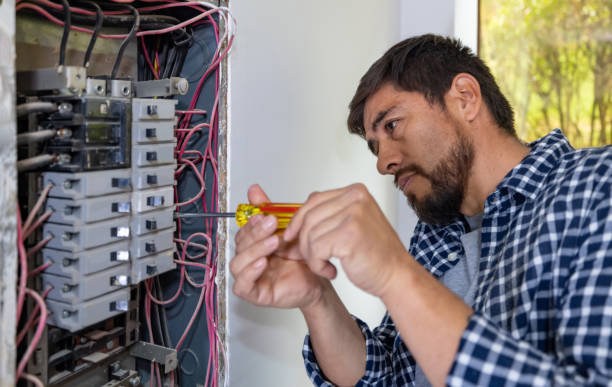 Best Affordable Electrician  in Tonka Bay, MN